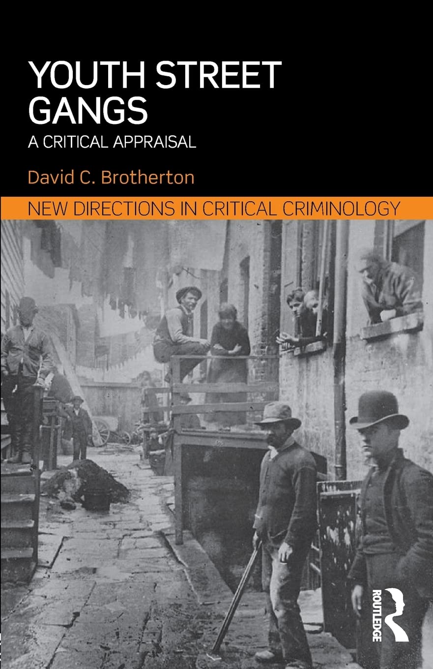Youth Street Gangs: A critical appraisal (New Directions in Critical Criminology),New