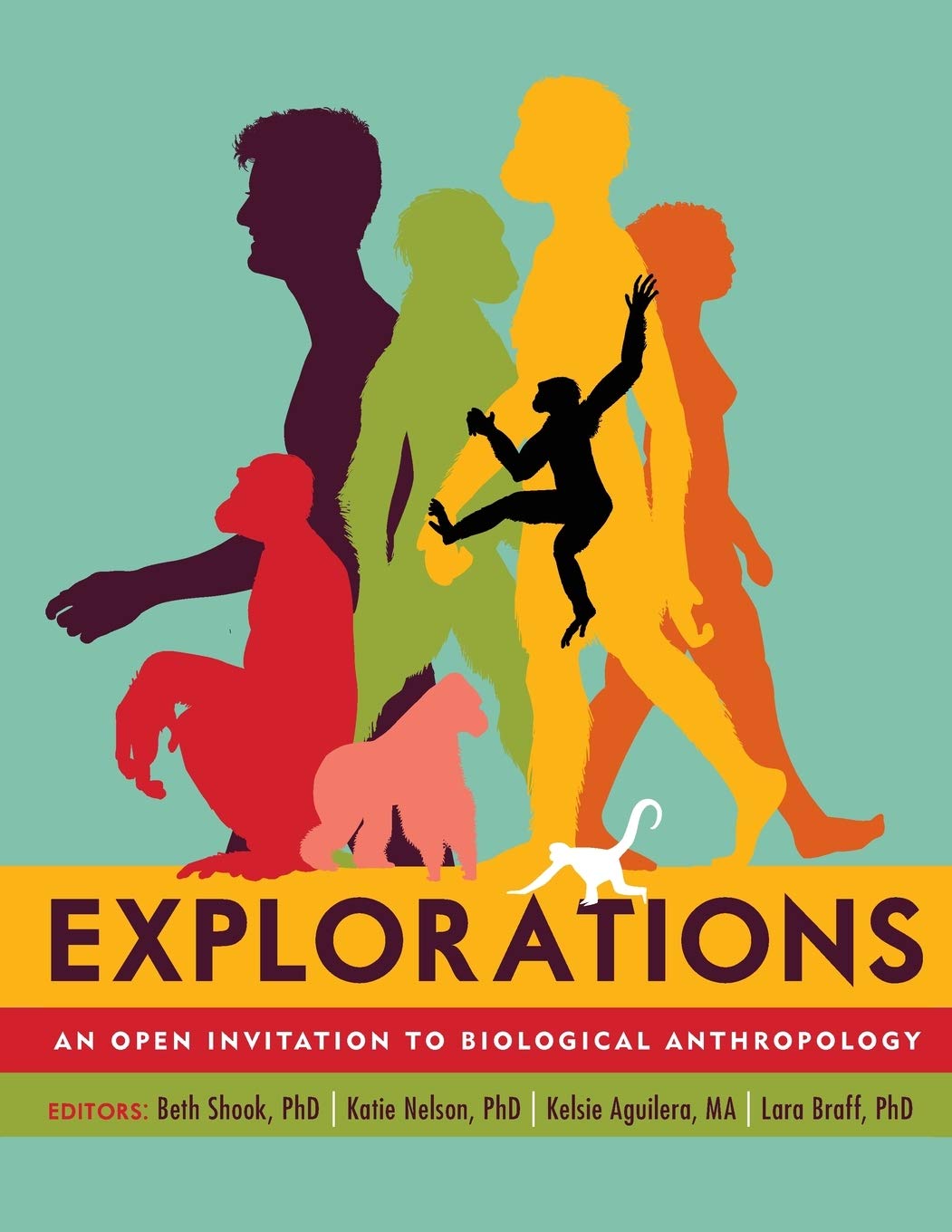 Explorations: An Open Invitation to Biological Anthropology,Used