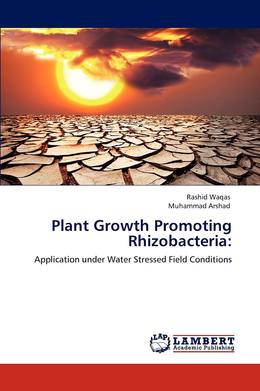 Plant Growth Promoting Rhizobacteria:: Application under Water Stressed Field Conditions,Used