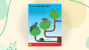 Everything You Need to Know About Snakes,Used