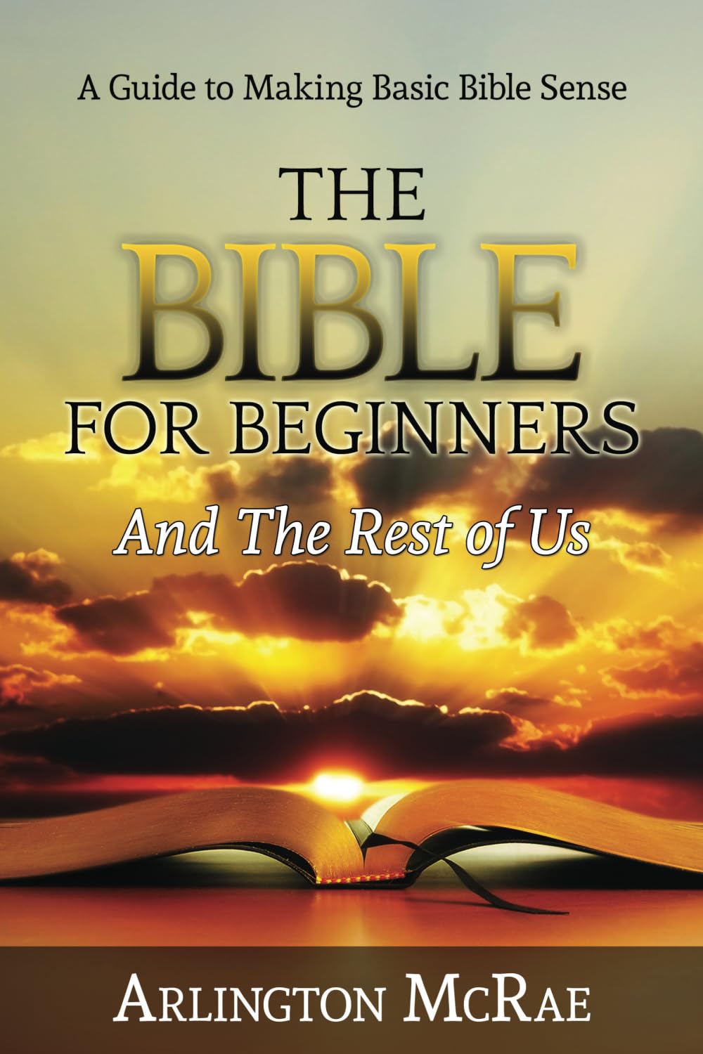 The Bible For Beginners And The Rest of Us: A Guide to Making Basic Bible Sense (BIBLE THREADS: Keys to Understanding the Bible),Used