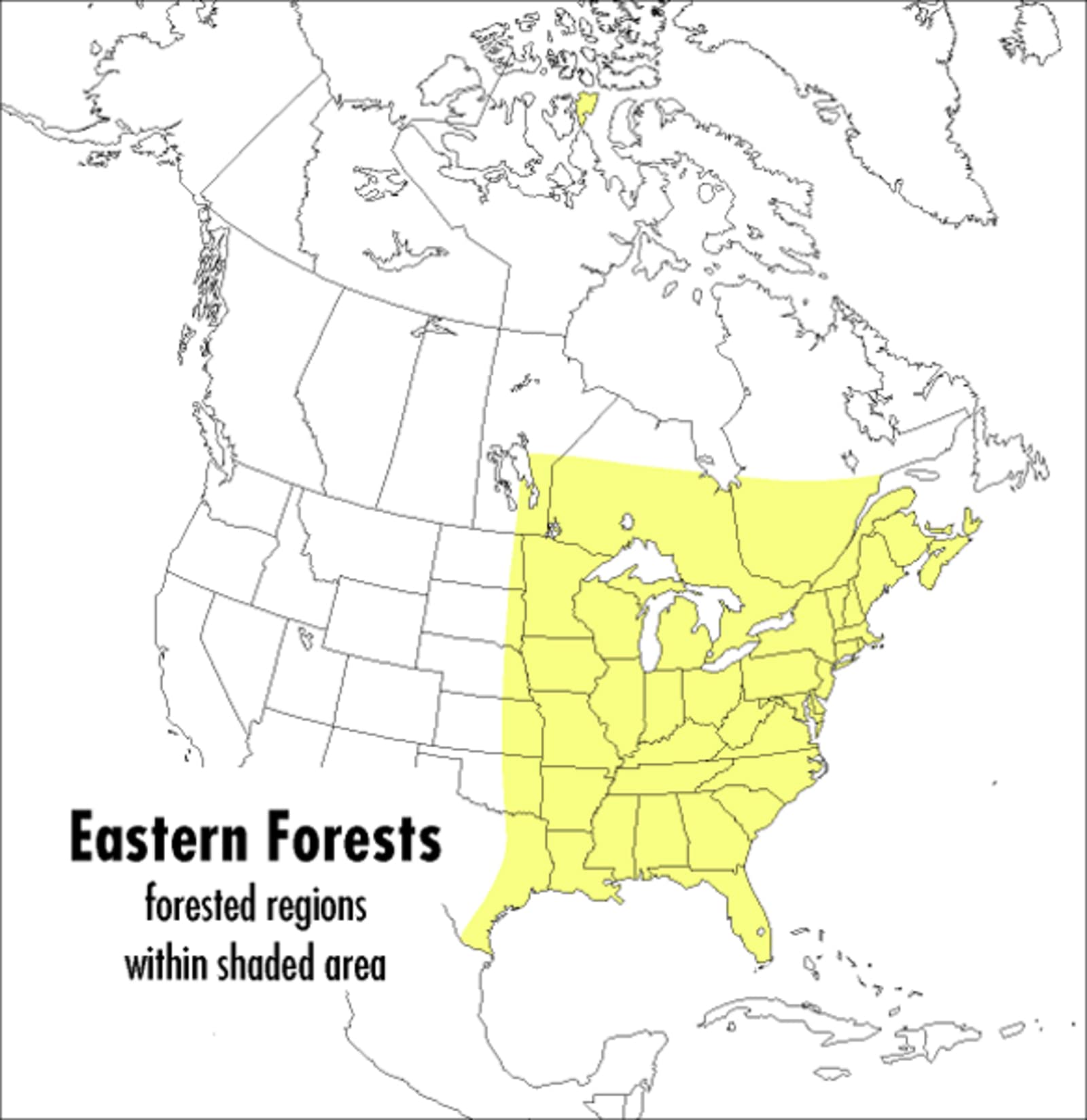A Peterson Field Guide To Eastern Forests: North America (Peterson Field Guides),New