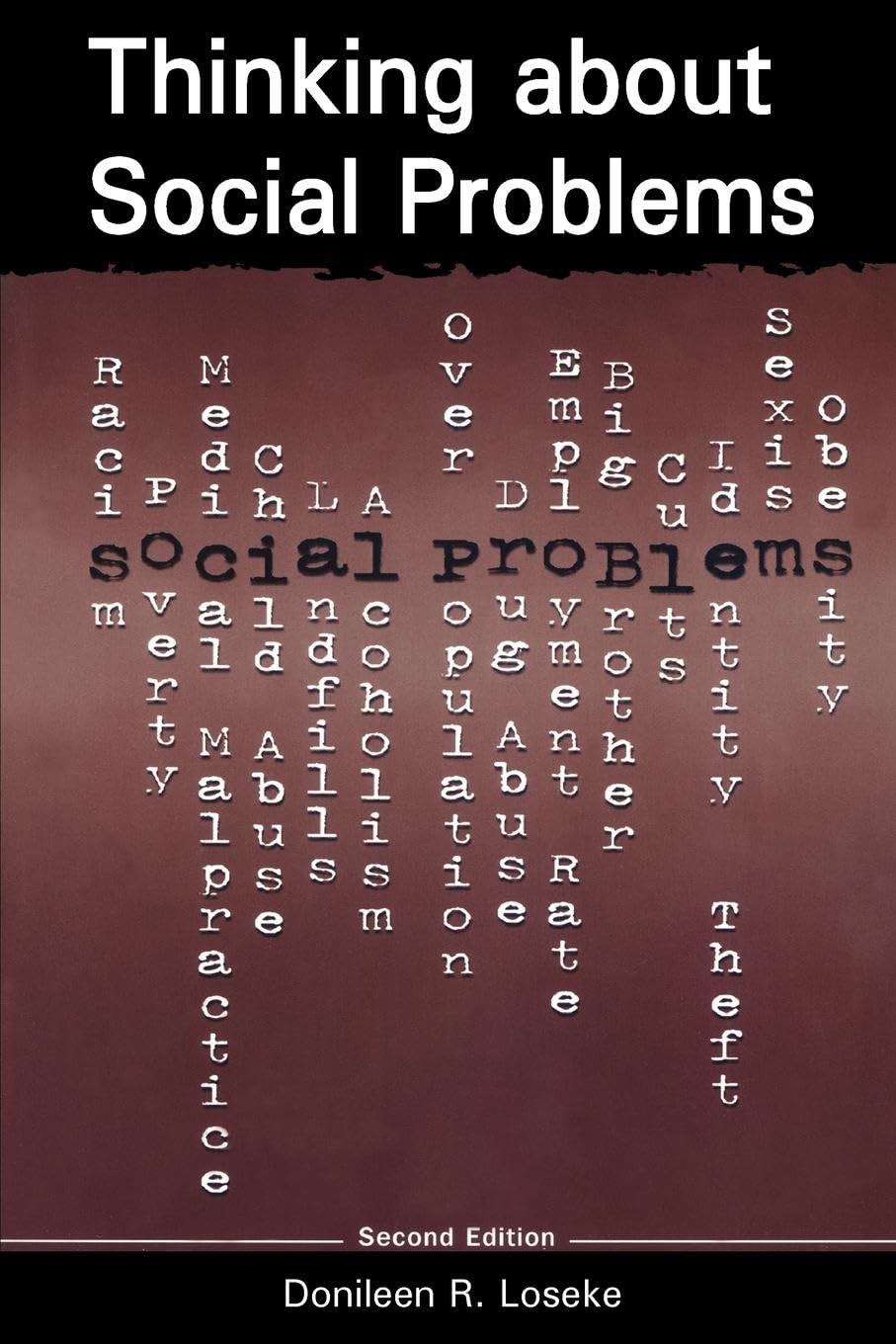 Thinking About Social Problems: An Introduction to Constructionist Perspectives (Social Problems & Social Issues),Used