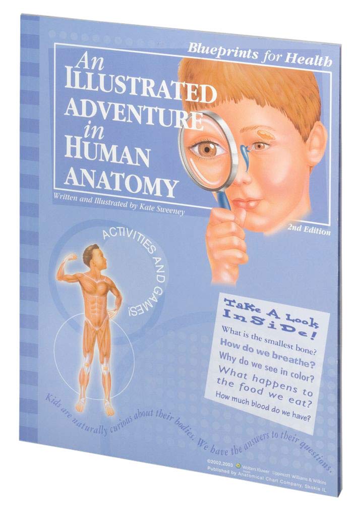 An Illustrated Adventure In Human Anatomy,New
