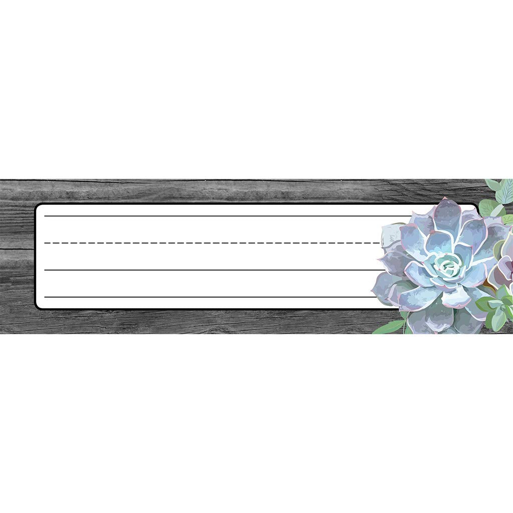 Schoolgirl Style Simply Stylish Succulent Nameplates, 9.5' x 2.875', Pack of 36,Used