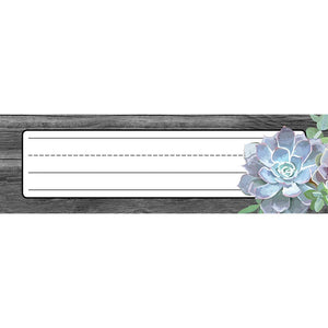 Schoolgirl Style Simply Stylish Succulent Nameplates, 9.5' x 2.875', Pack of 36,Used