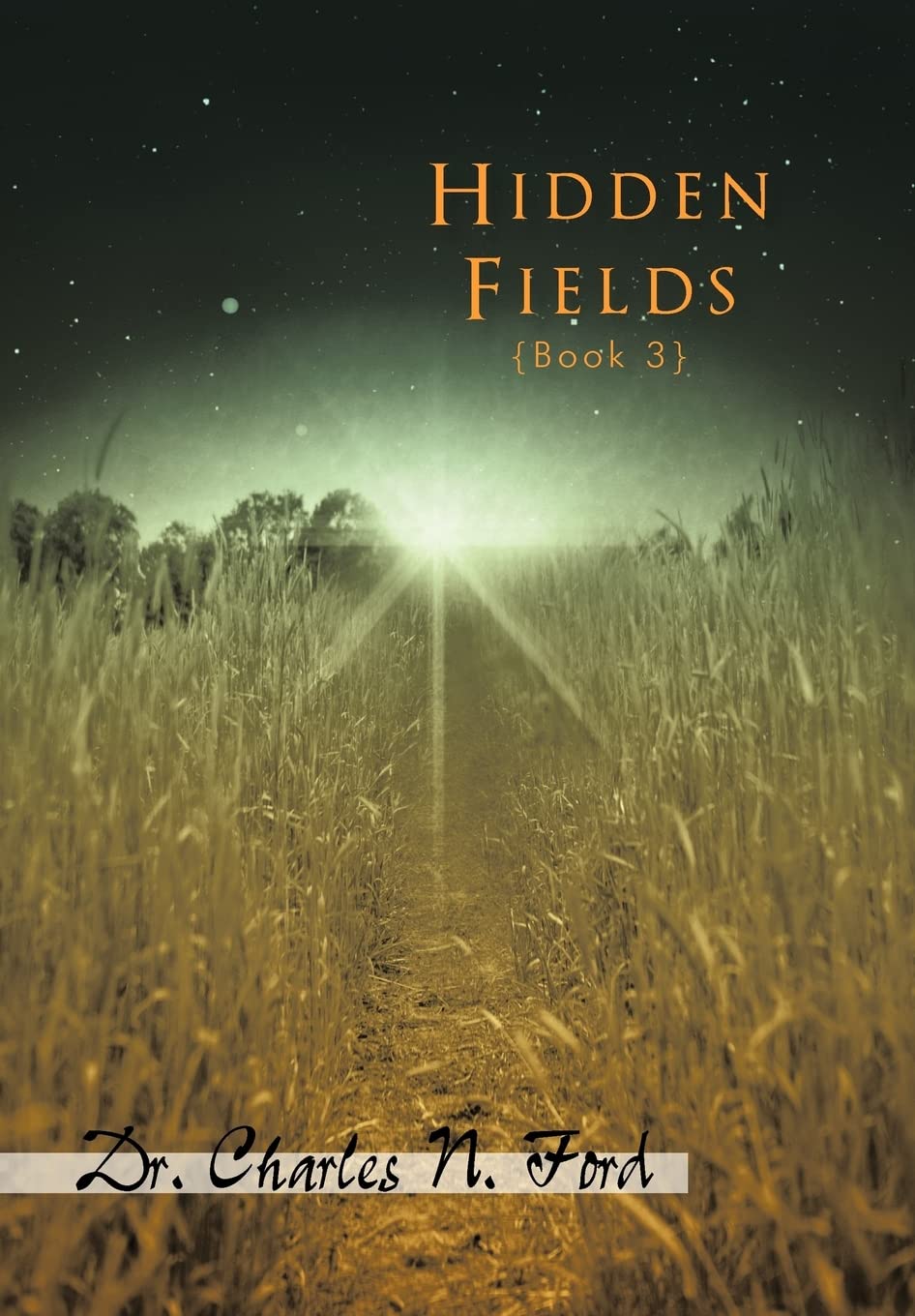 Hidden Fields Book 3,Used
