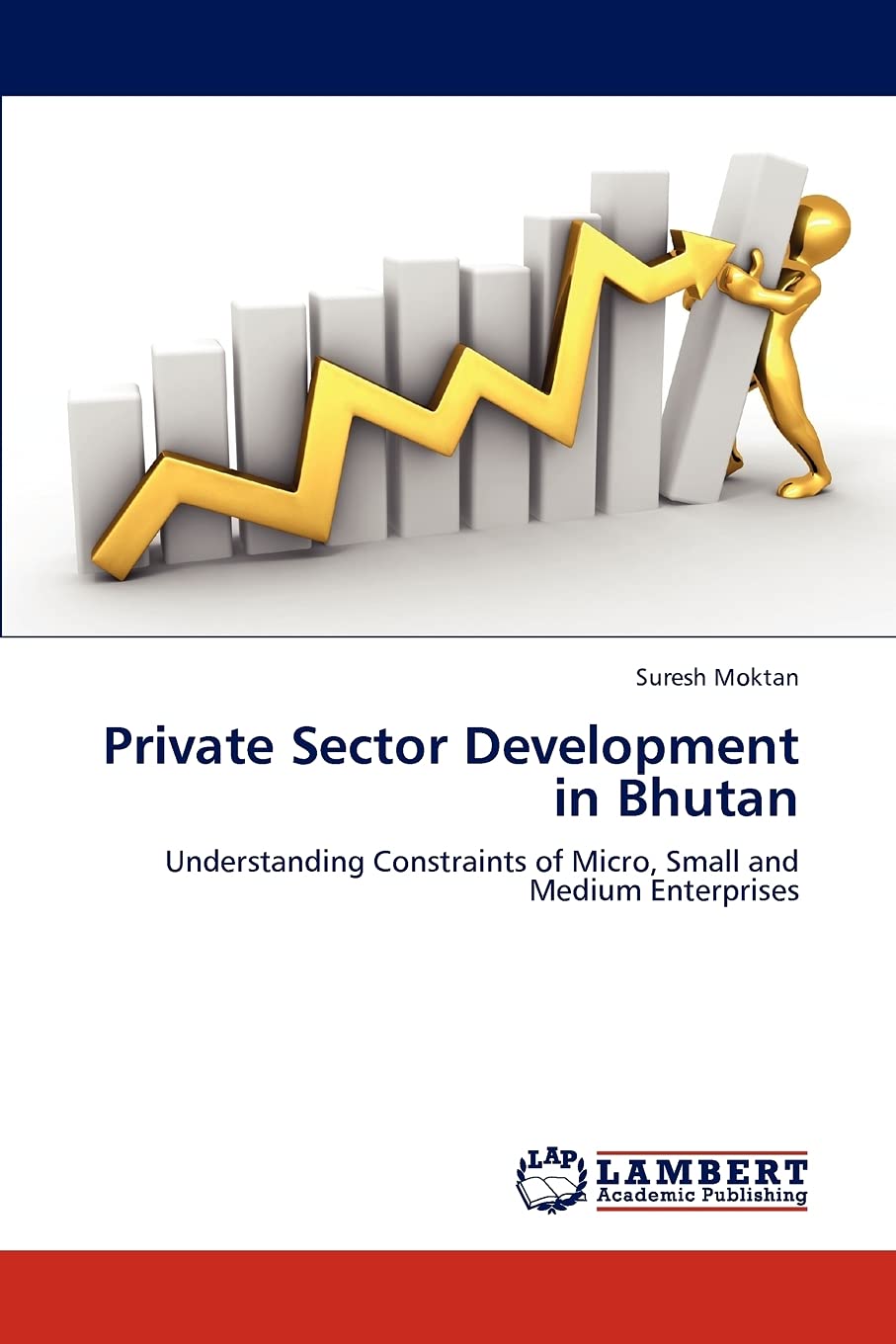 Private Sector Development in Bhutan: Understanding Constraints of Micro, Small and Medium Enterprises,Used