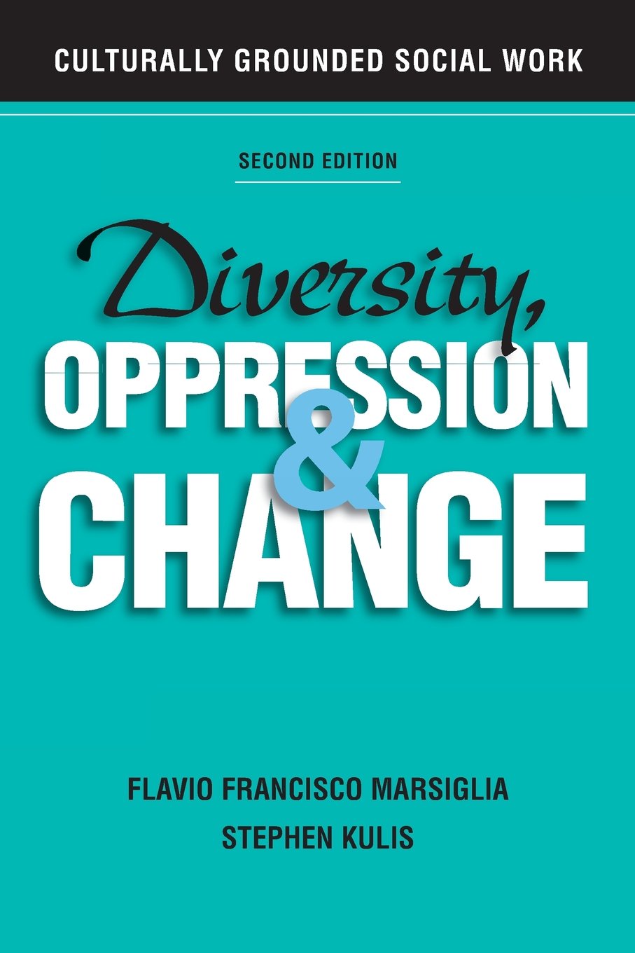 Diversity, Oppression, and Change: Culturally Grounded Social Work,Used