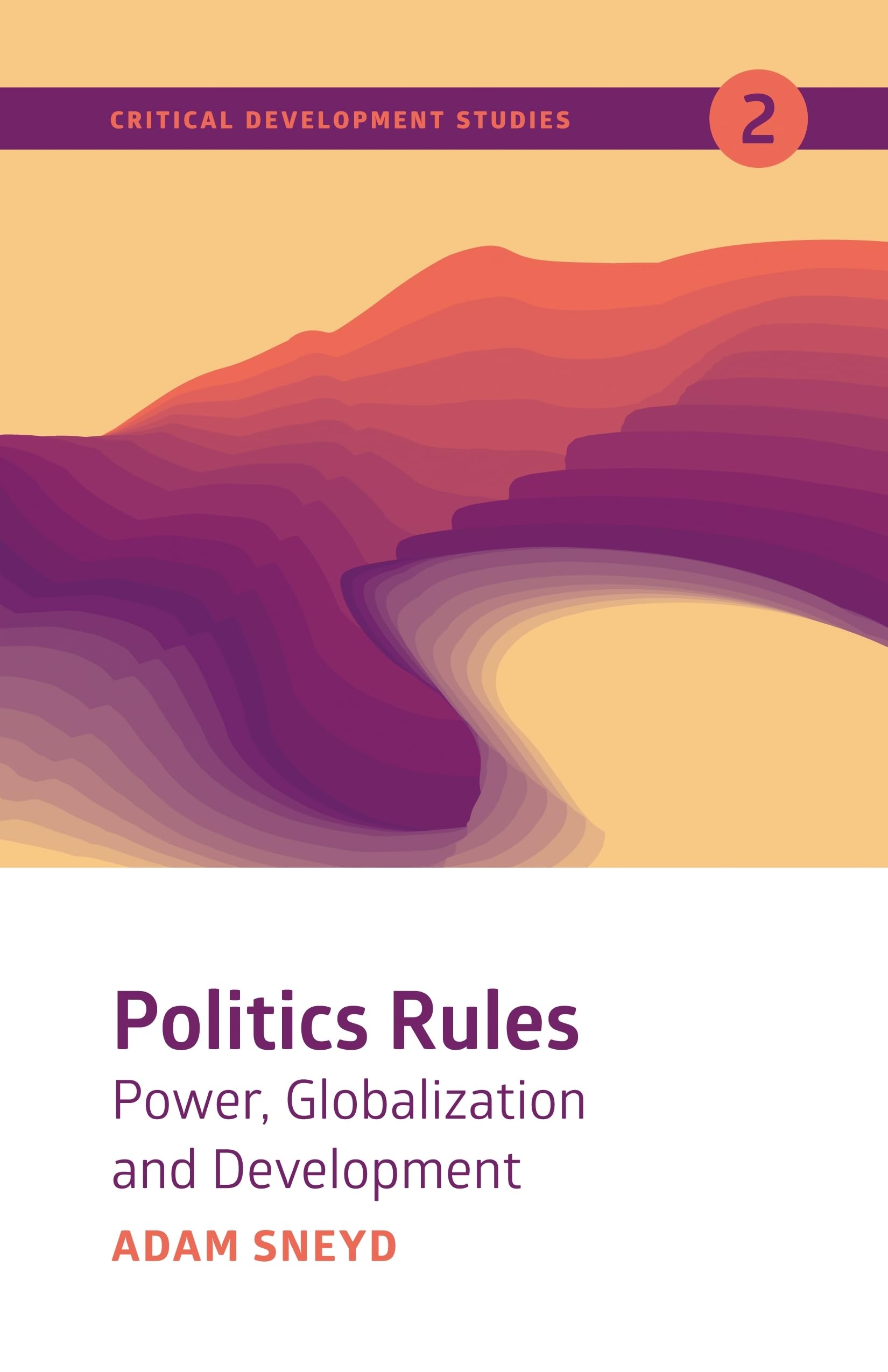 Politics Rules: Power, Globalization and Development (Critical Development Studies),Used