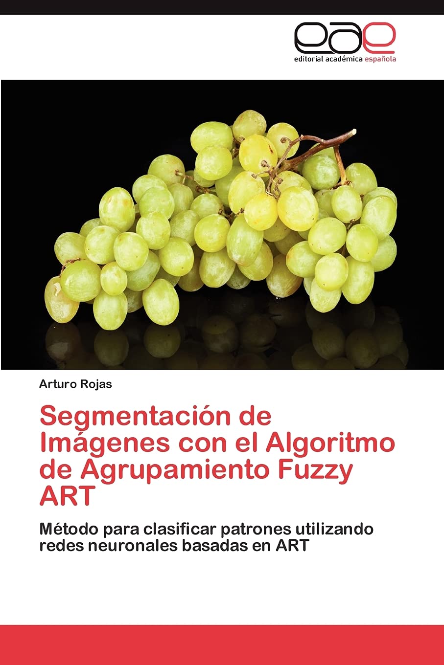 Segmentacin de Imgenes con el Algoritmo de Agrupamiento Fuzzy ART: Mtodo para clasificar patrones utilizando redes neurona,Used