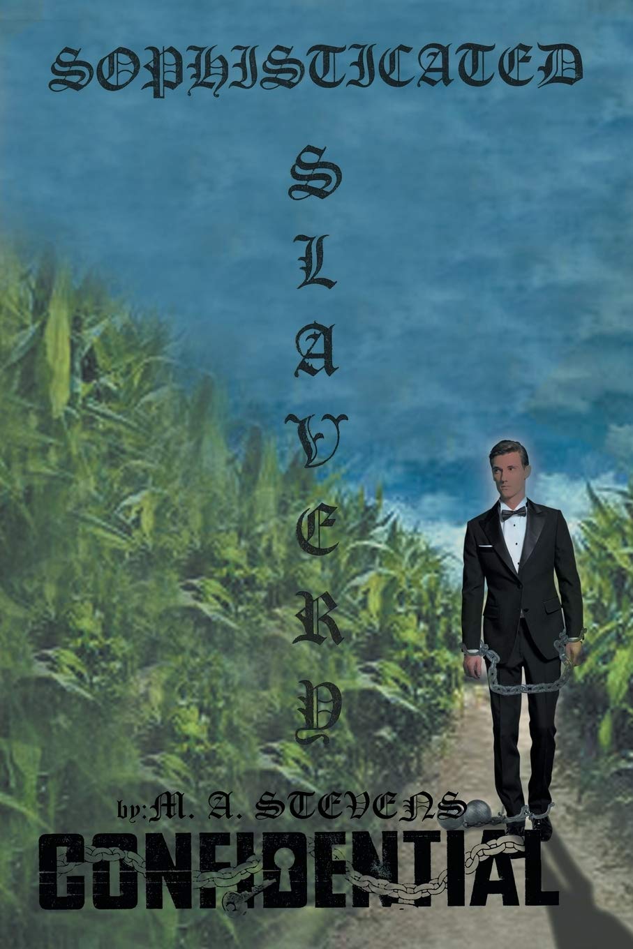 Sophisticated Slavery,Used