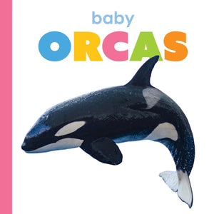Baby Orcas (Starting Out)