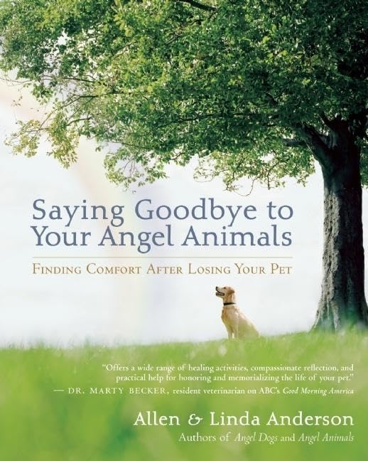 Saying Goodbye To Your Angel Animals: Finding Comfort After Losing Your Pet