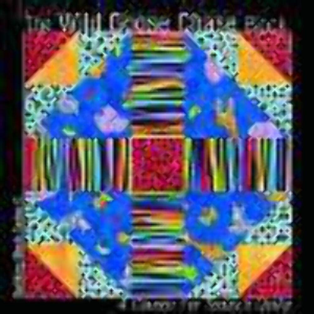 The Wild Goose Chase Block: A Classic for Today's Quilts (Building Block Series 1),Used