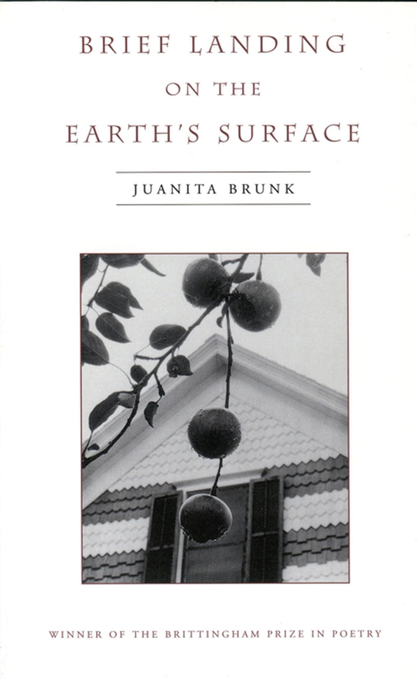 Brief Landing On The Earth'S Surface (Volume 1996) (Wisconsin Poetry Series)