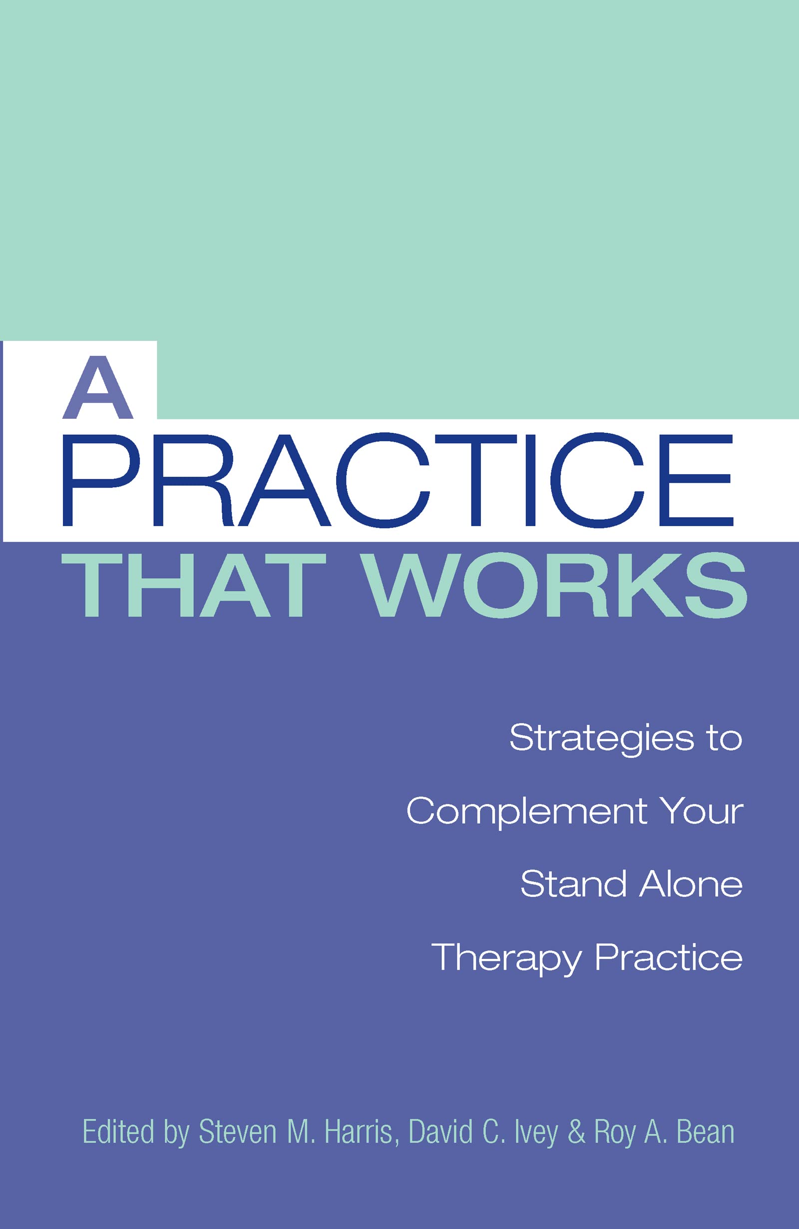 A Practice that Works: Strategies to Complement Your Stand Alone Therapy Practice,Used