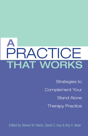 A Practice that Works: Strategies to Complement Your Stand Alone Therapy Practice,Used