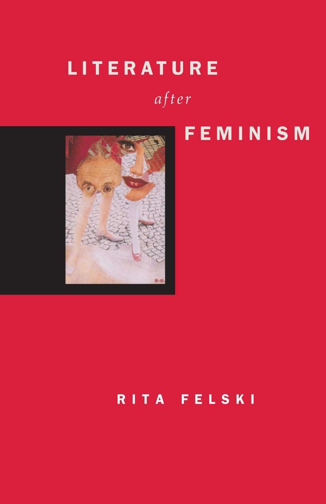 Literature after Feminism,Used