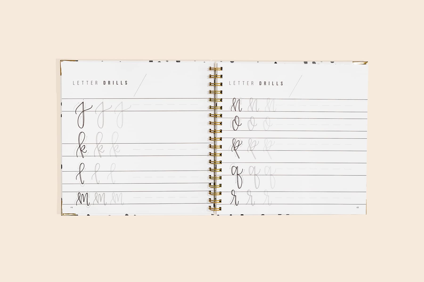 Hand Lettering 101: A StepbyStep Calligraphy Workbook for Beginners (Gold SpiralBound Workbook with Gold Corner Protectors) (,Used
