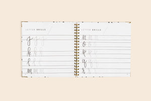 Hand Lettering 101: A StepbyStep Calligraphy Workbook for Beginners (Gold SpiralBound Workbook with Gold Corner Protectors) (,Used