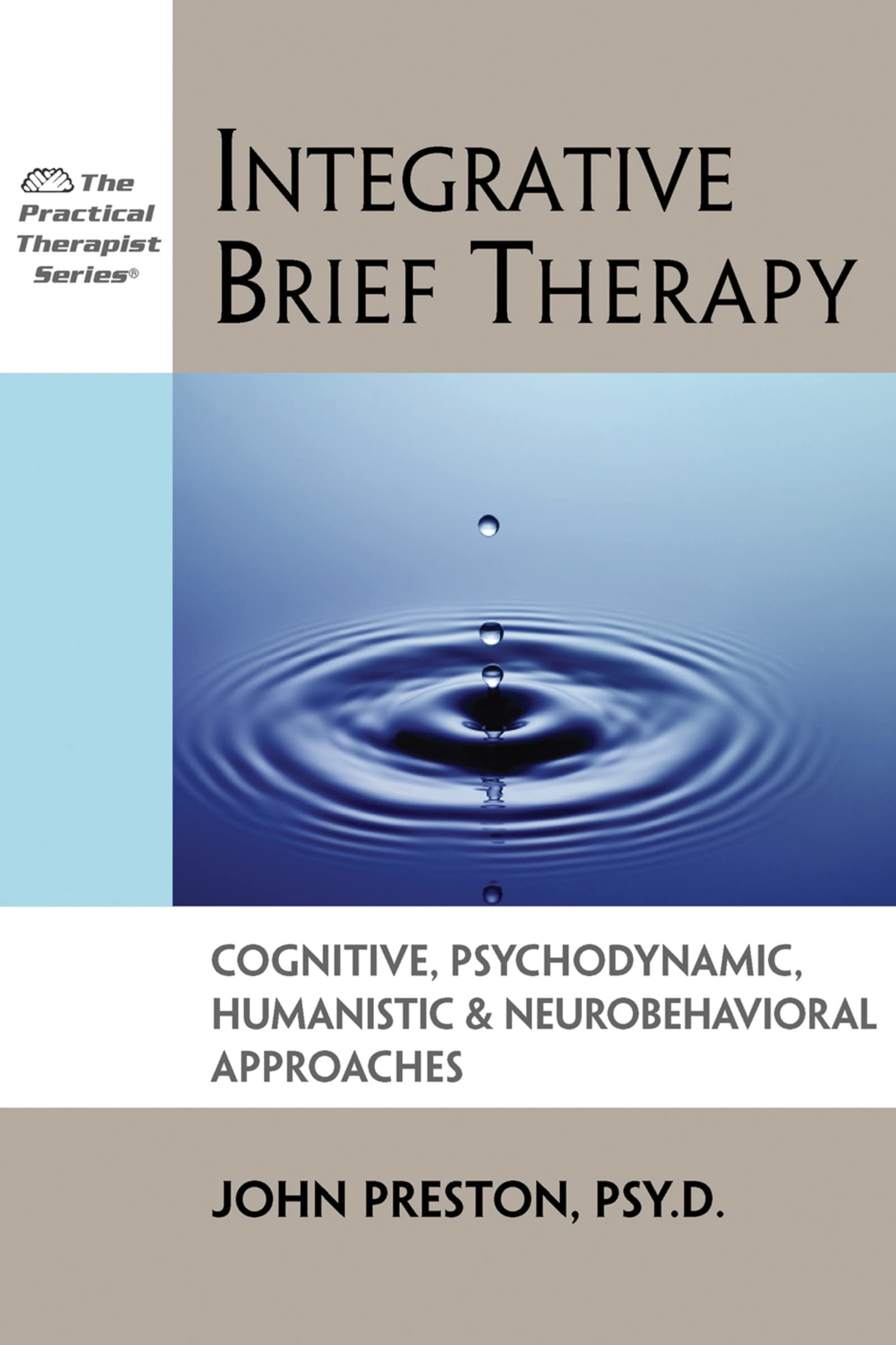 Integrative Brief Therapy: Cognitive, Psychodynamic, Humanistic And Neurobehavioral Approaches (Practical Therapist Series)