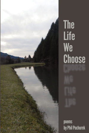 The Life We Choose,Used