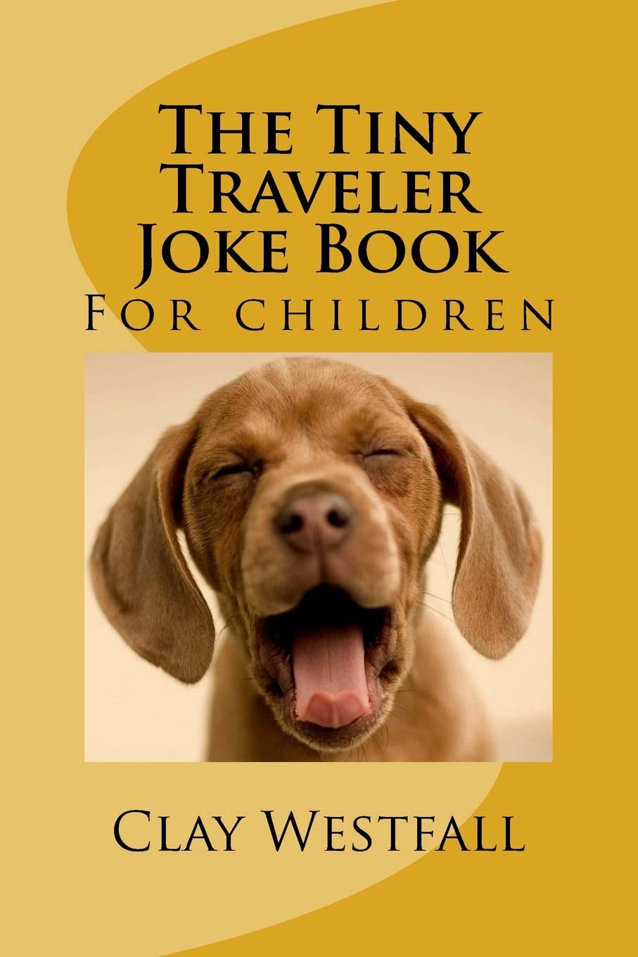 Tiny Traveler Joke Book (Tiny Traveler Books),Used