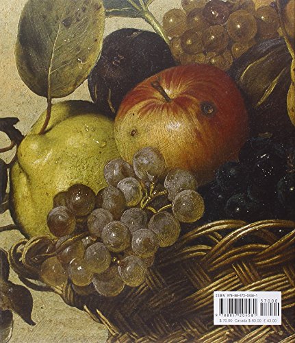 Caravaggio,Used