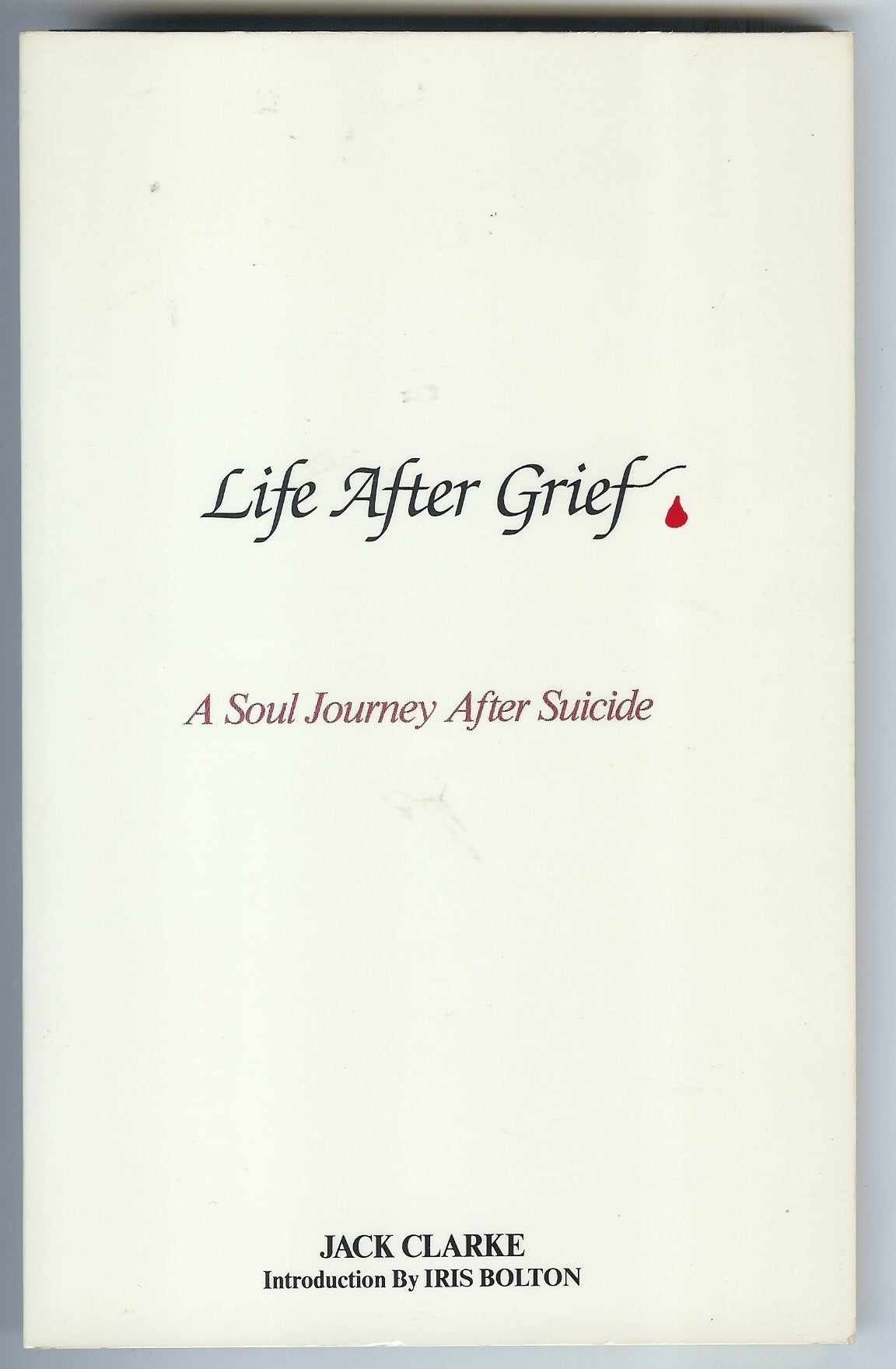 Life After Grief a Soul Journey After Suicide,Used