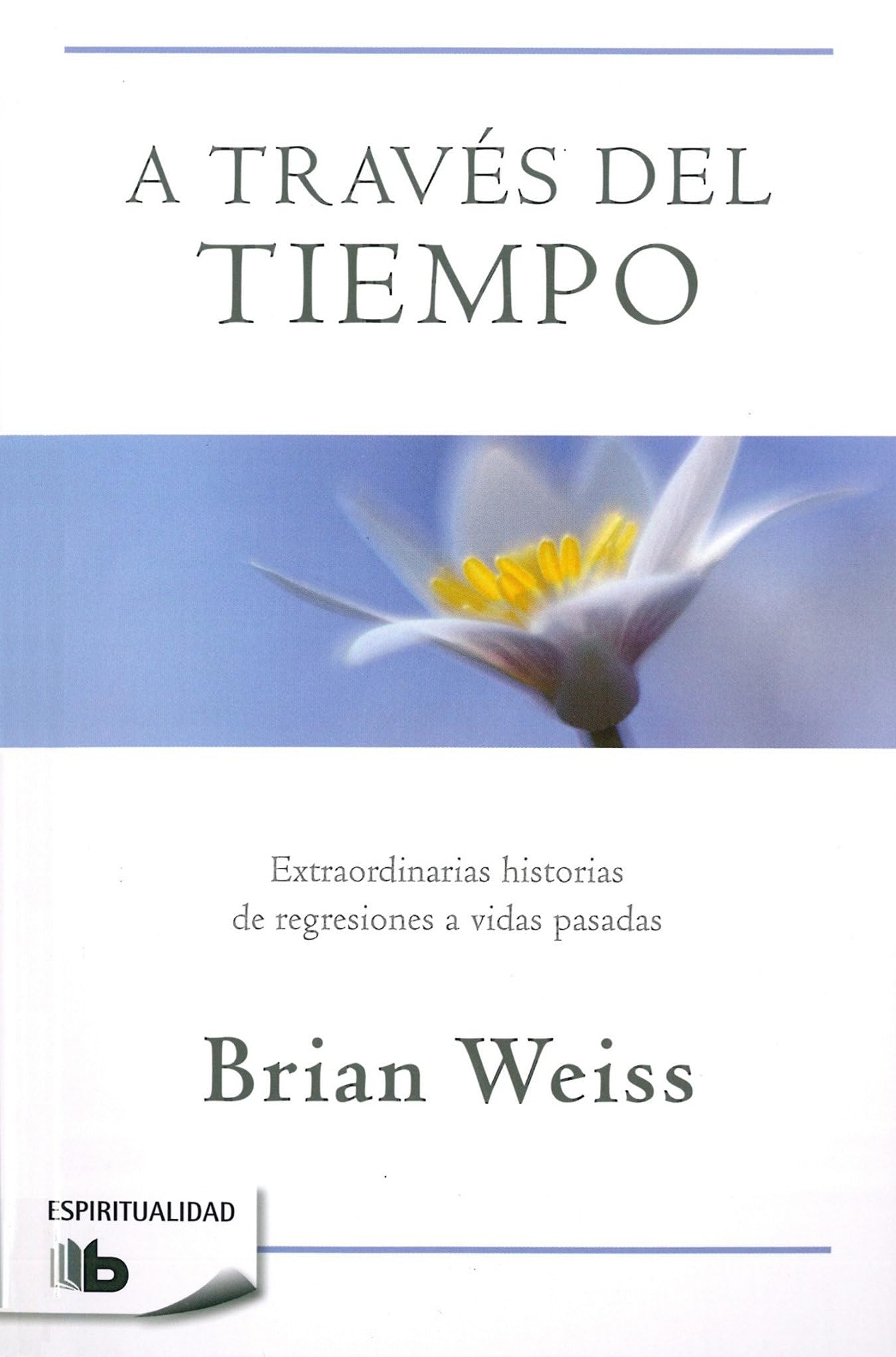 A travs del tiempo / Through Time Into Healing (Spanish Edition),New