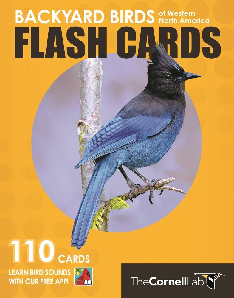 Backyard Birds Flash Cards  Western North America (Cornell Lab Of Ornithology),Used