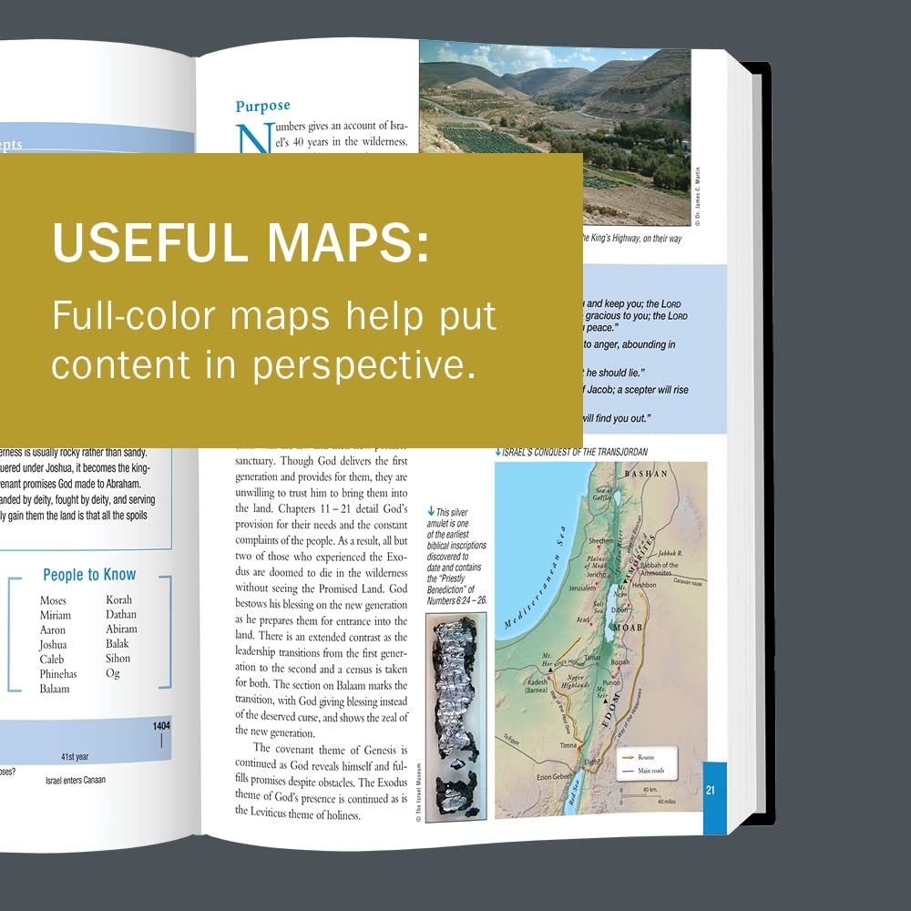 The Essential Bible Companion: Key Insights for Reading God's Word (Essential Bible Companion Series),Used