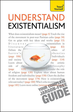 Understand Existentialism (Teach Yourself),Used