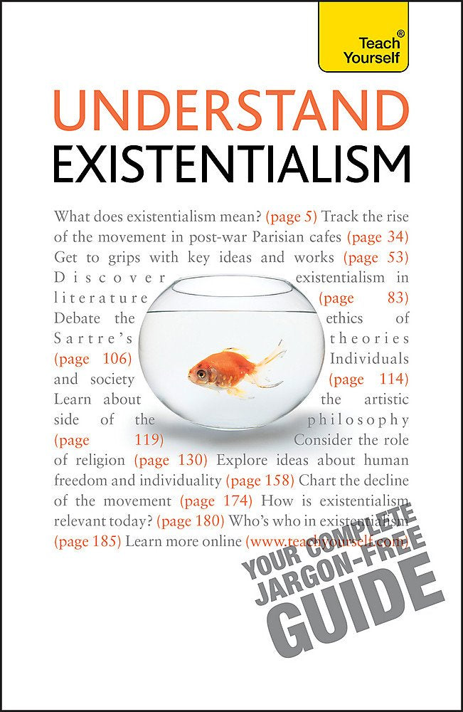 Understand Existentialism (Teach Yourself),Used