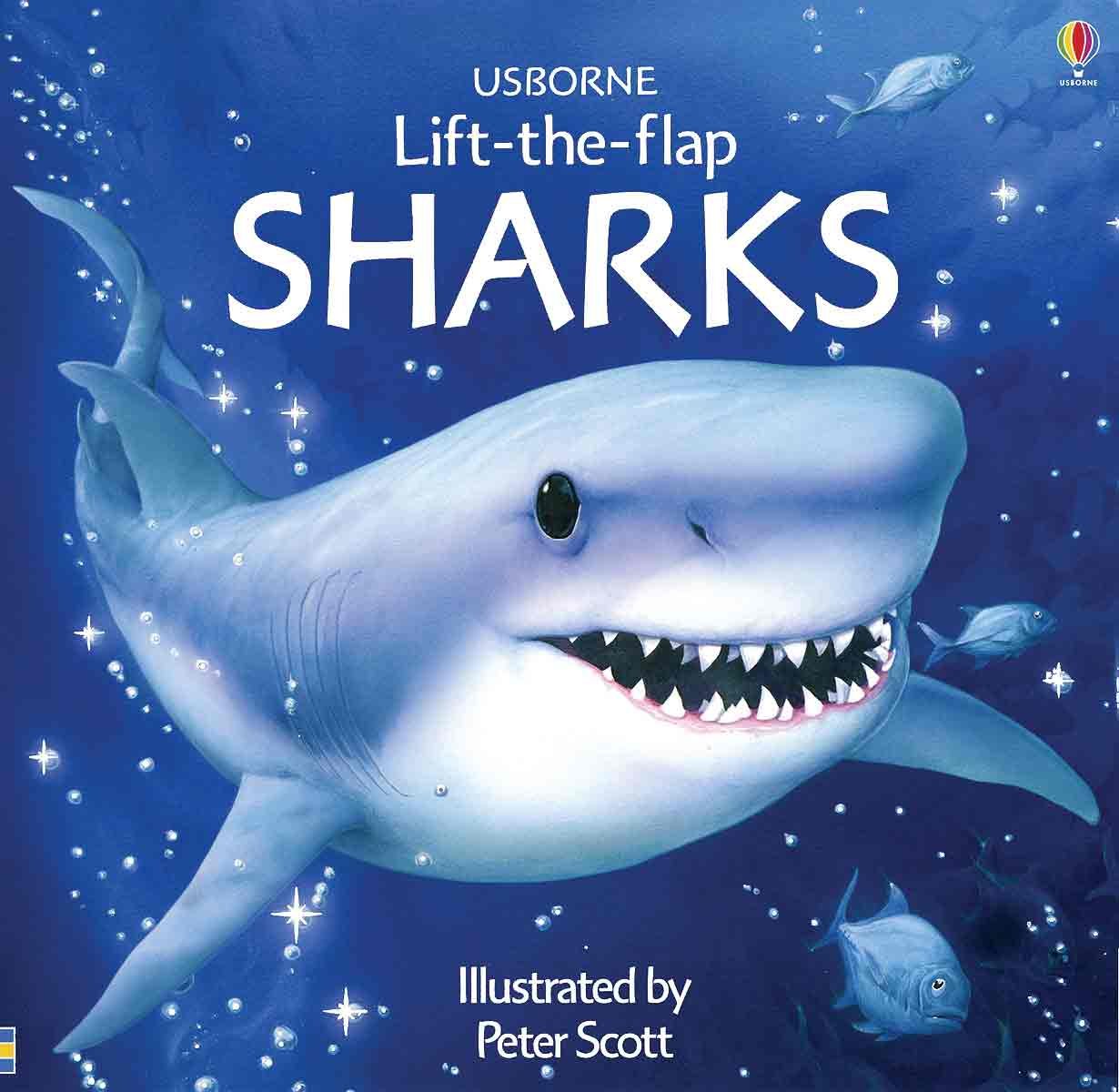 Sharks (Usborne LifttheFlap Learners),New