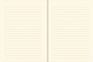 Curious Cat Journal (Diary, Notebook),Used