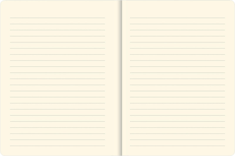 Curious Cat Journal (Diary, Notebook),Used