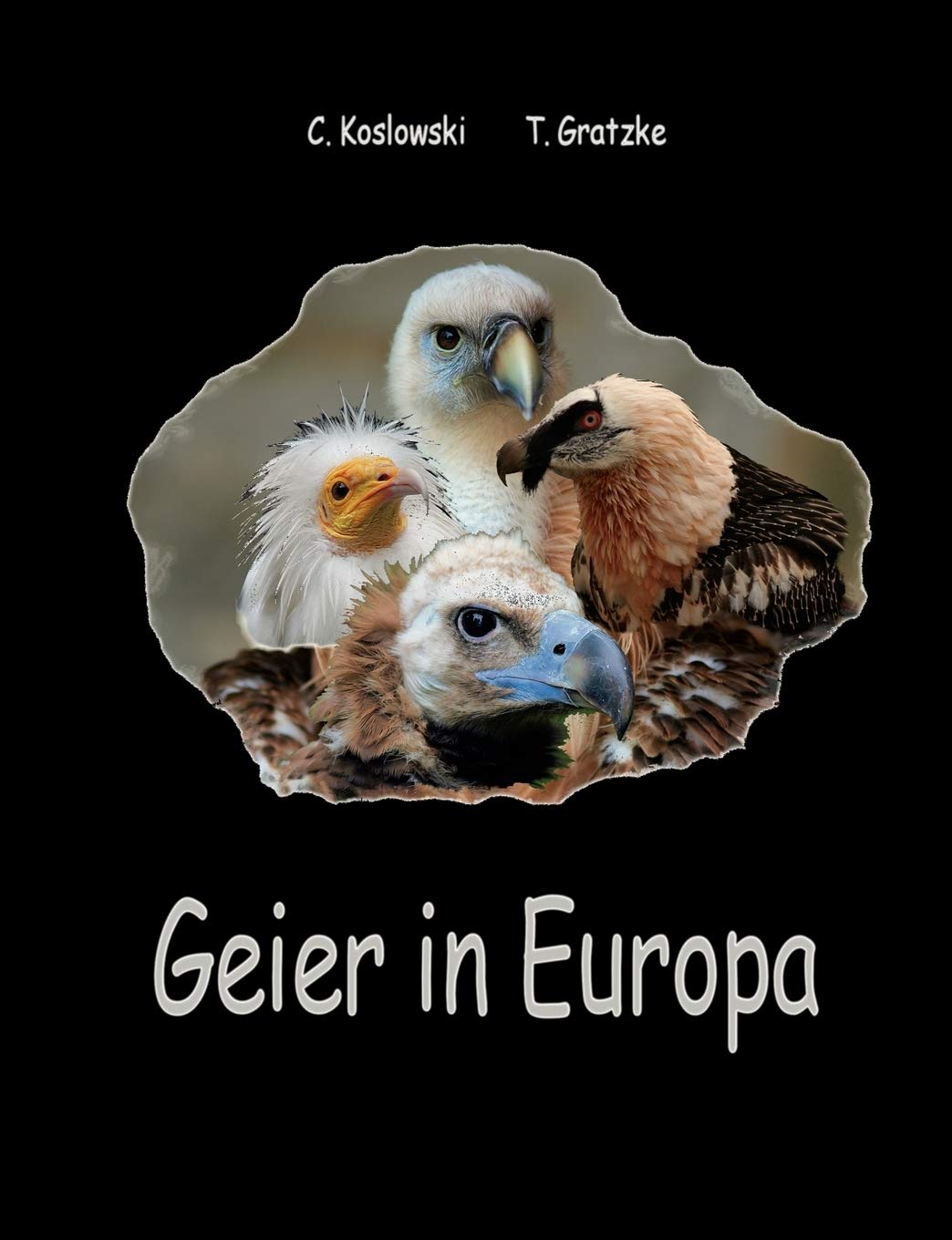 Geier in Europa (German Edition),Used