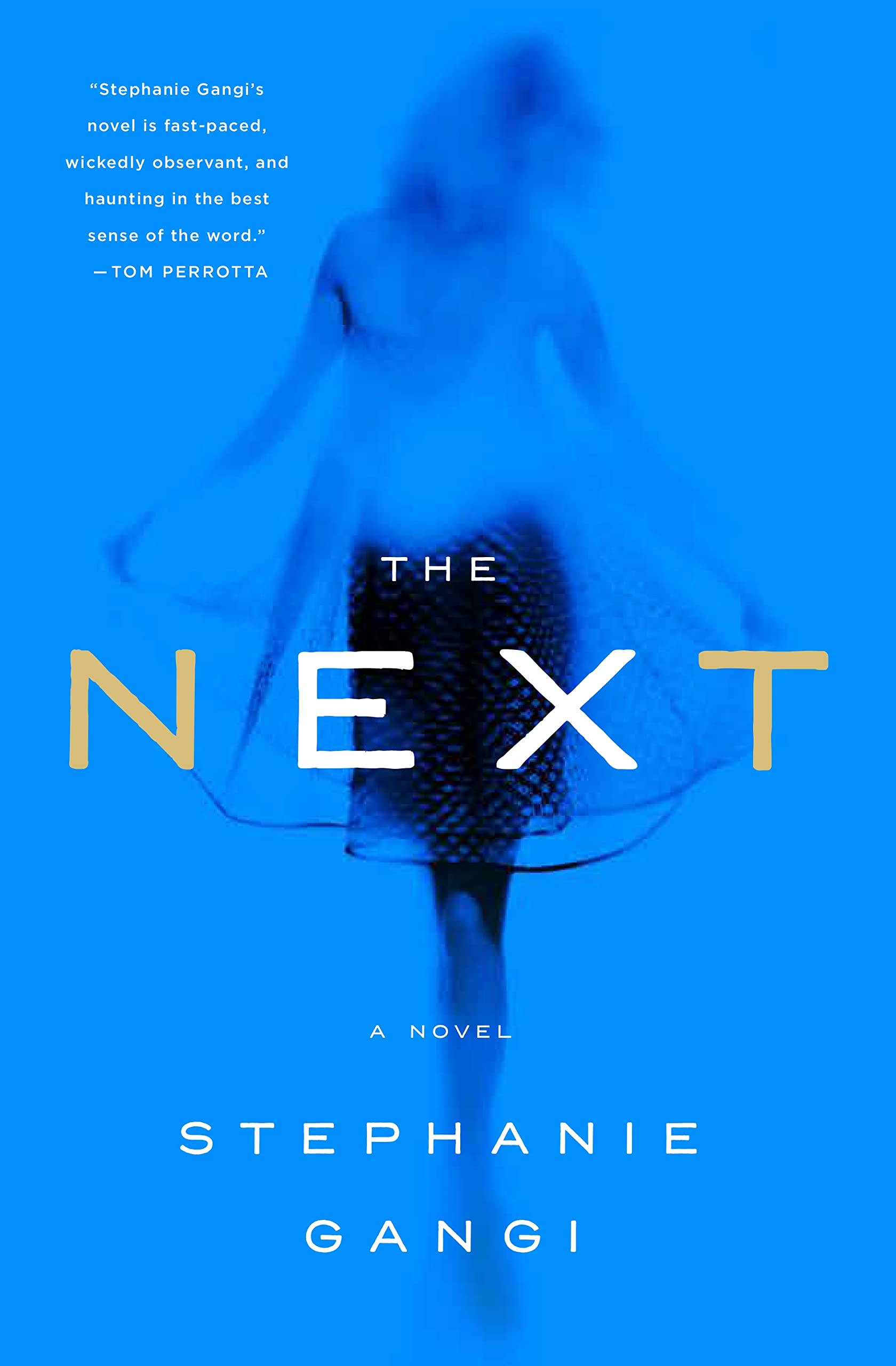 The Next: A Novel,Used