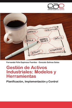 Gestin de Activos Industriales: Modelos y Herramientas: Planificacin, Implementacin y Control (Spanish Edition),Used