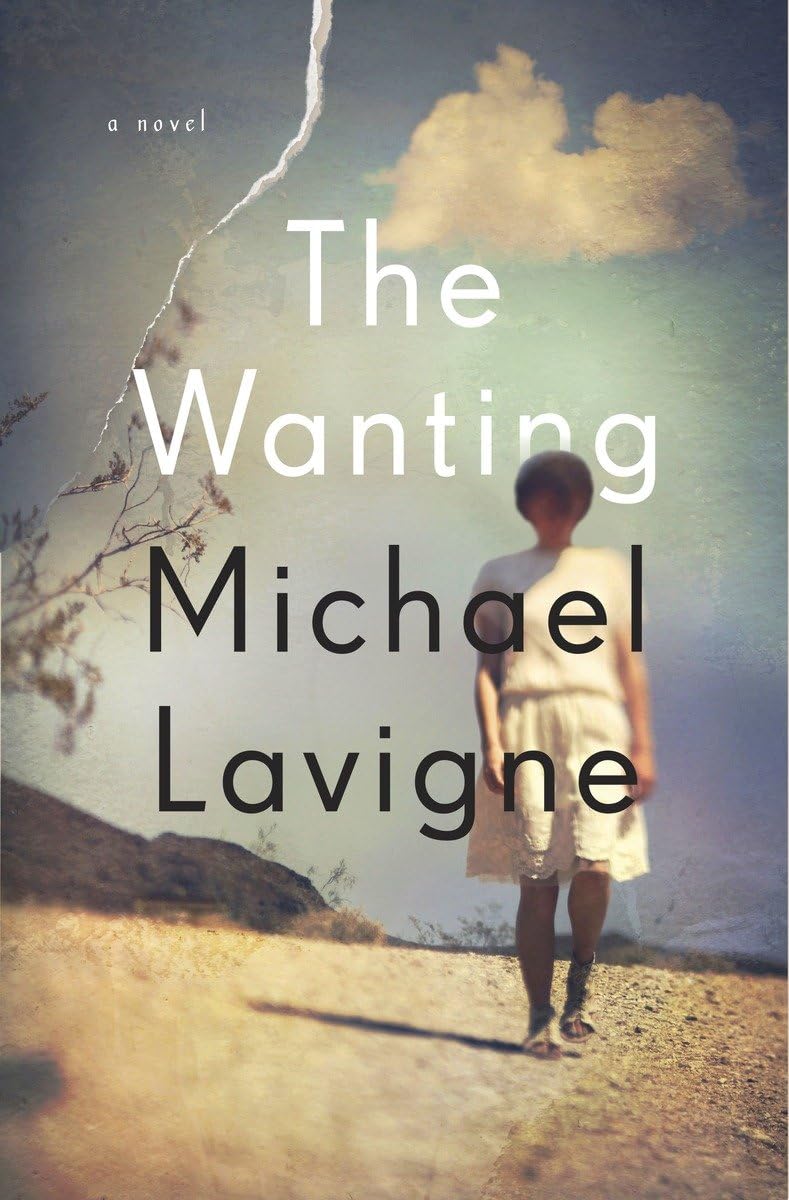 The Wanting: A Novel,Used