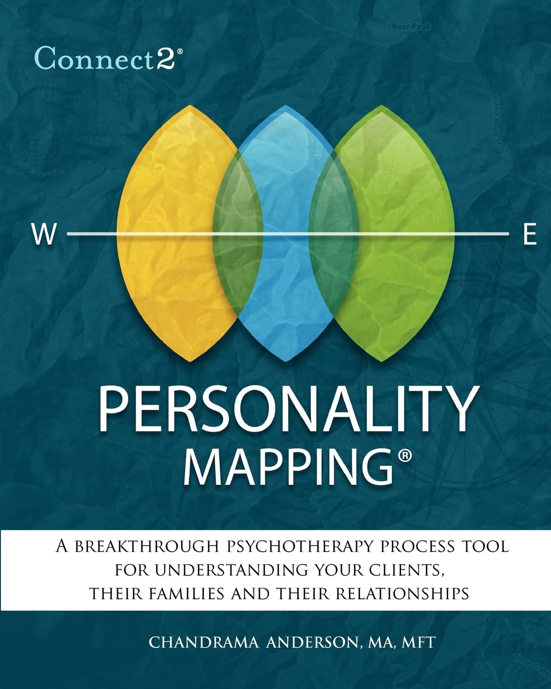 Connect2 Personality Mapping: A Breakthrough Psychotherapy Process Tool For Understanding Your Clients, Their Families And Their,Used