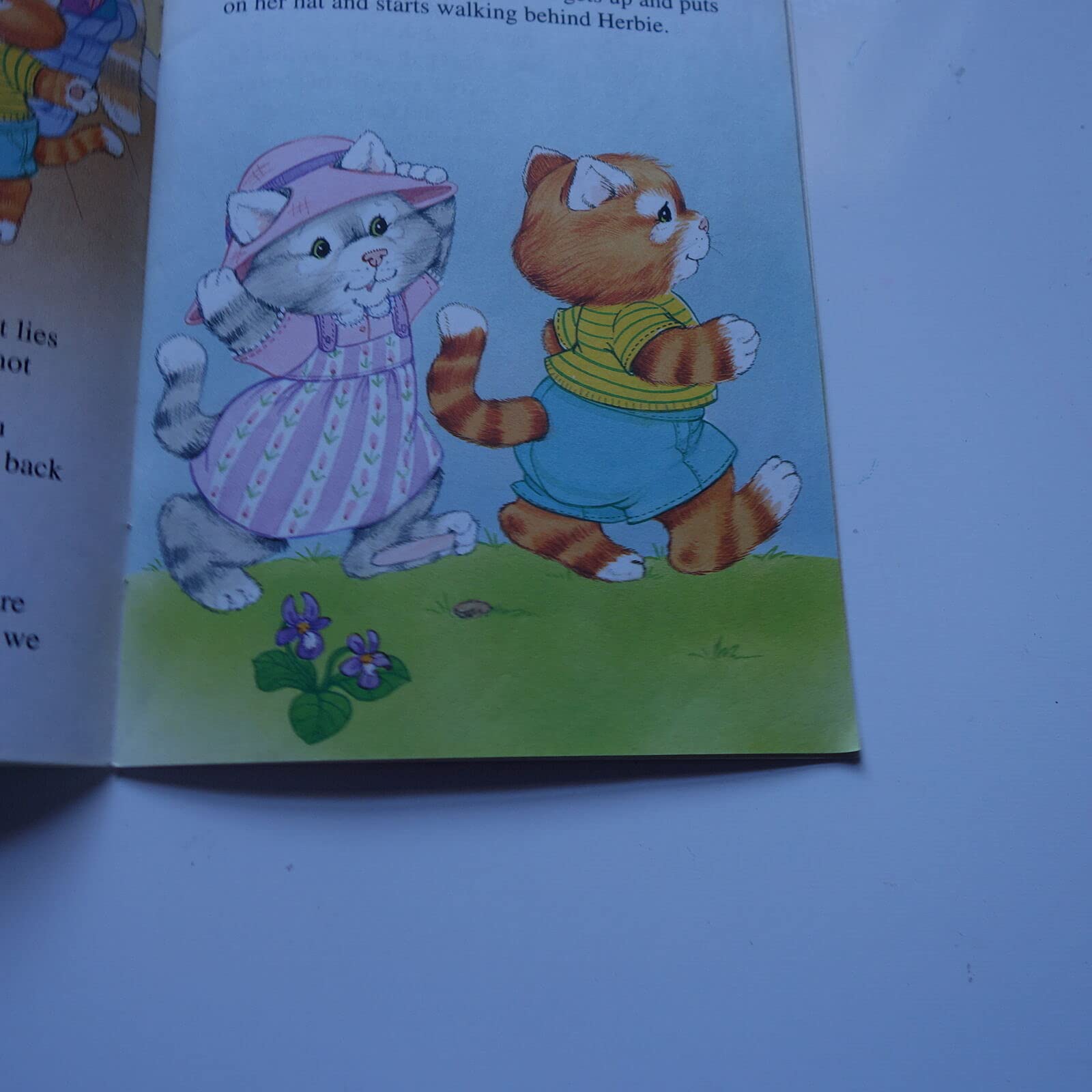 ScaredyCat Kitten (Storytime Books),Used