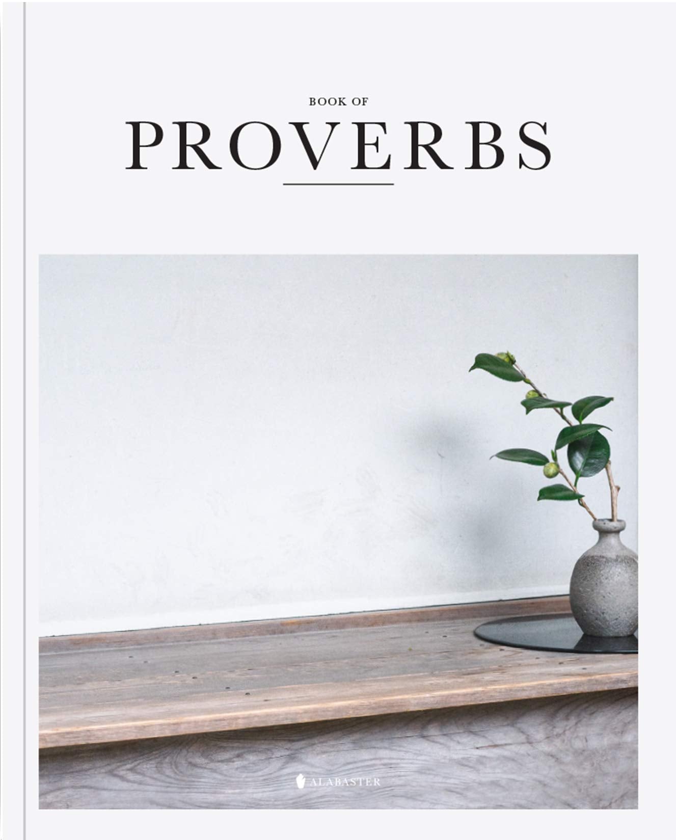 Book of Proverbs  Alabaster Bible,New