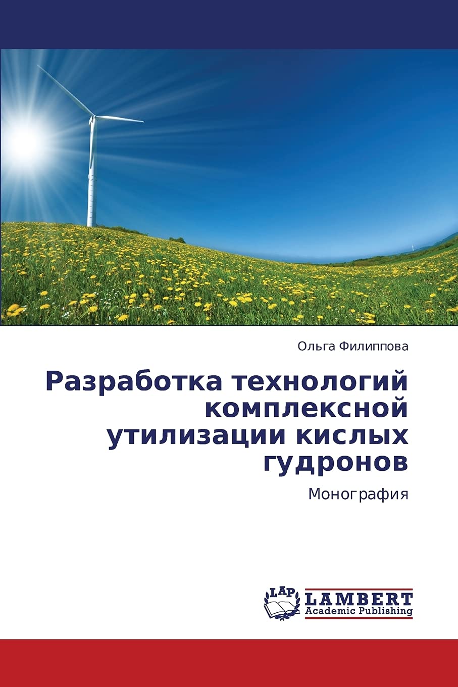 Razrabotka tekhnologiy kompleksnoy utilizatsii kislykh gudronov: Monografiya (Russian Edition),Used