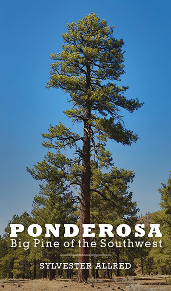 Ponderosa: Big Pine Of The Southwest,Used