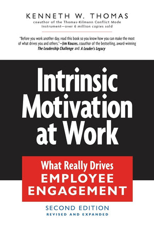 Intrinsic Motivation at Work: What Really Drives Employee Engagement,Used