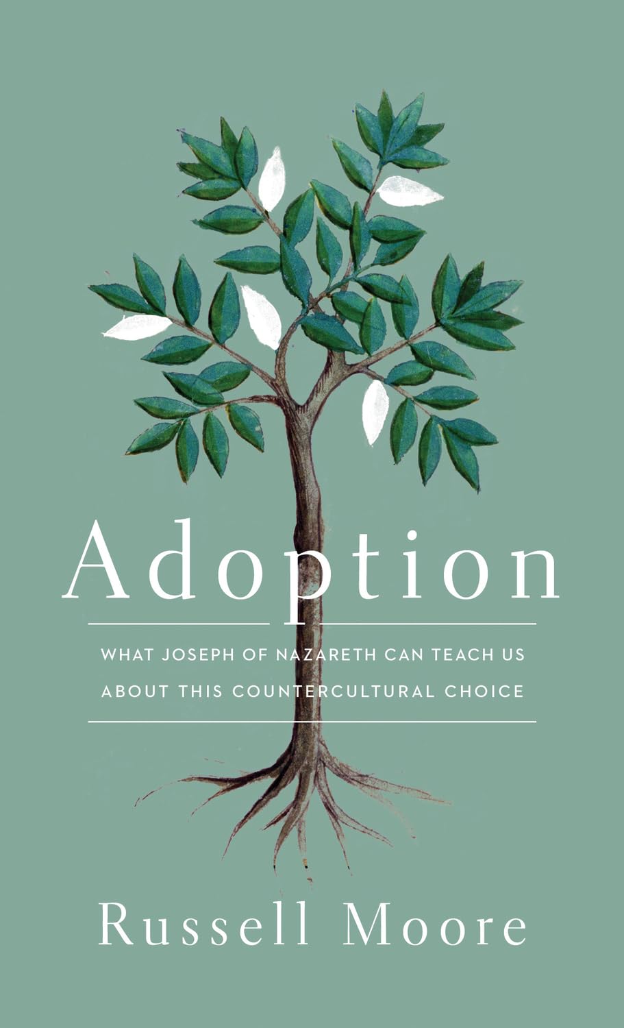 Adoption: What Joseph of Nazareth Can Teach Us about This Countercultural Choice,Used