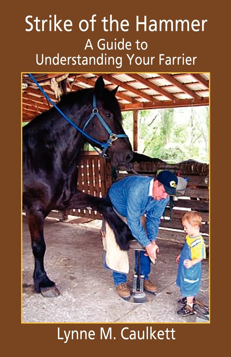 Strike of the Hammer  A Guide to Understanding Your Farrier,Used